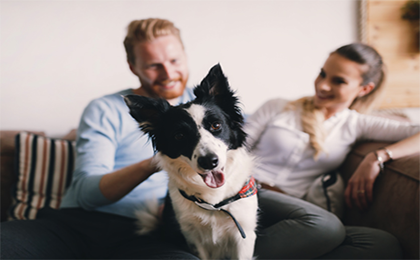 homepage lifestyle image